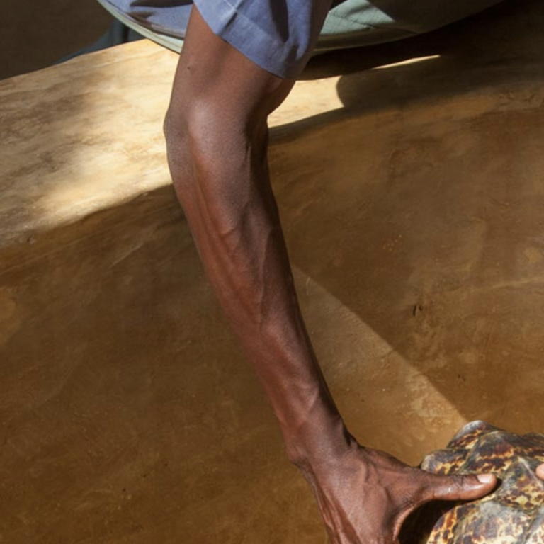 Watamu Turtle Sanctuary