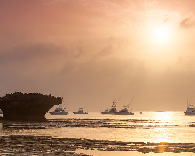 World-class big game fishing