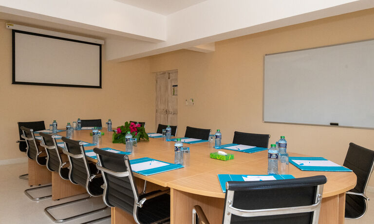 Meetings & Conferences