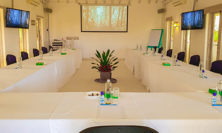 Meetings & Conferences