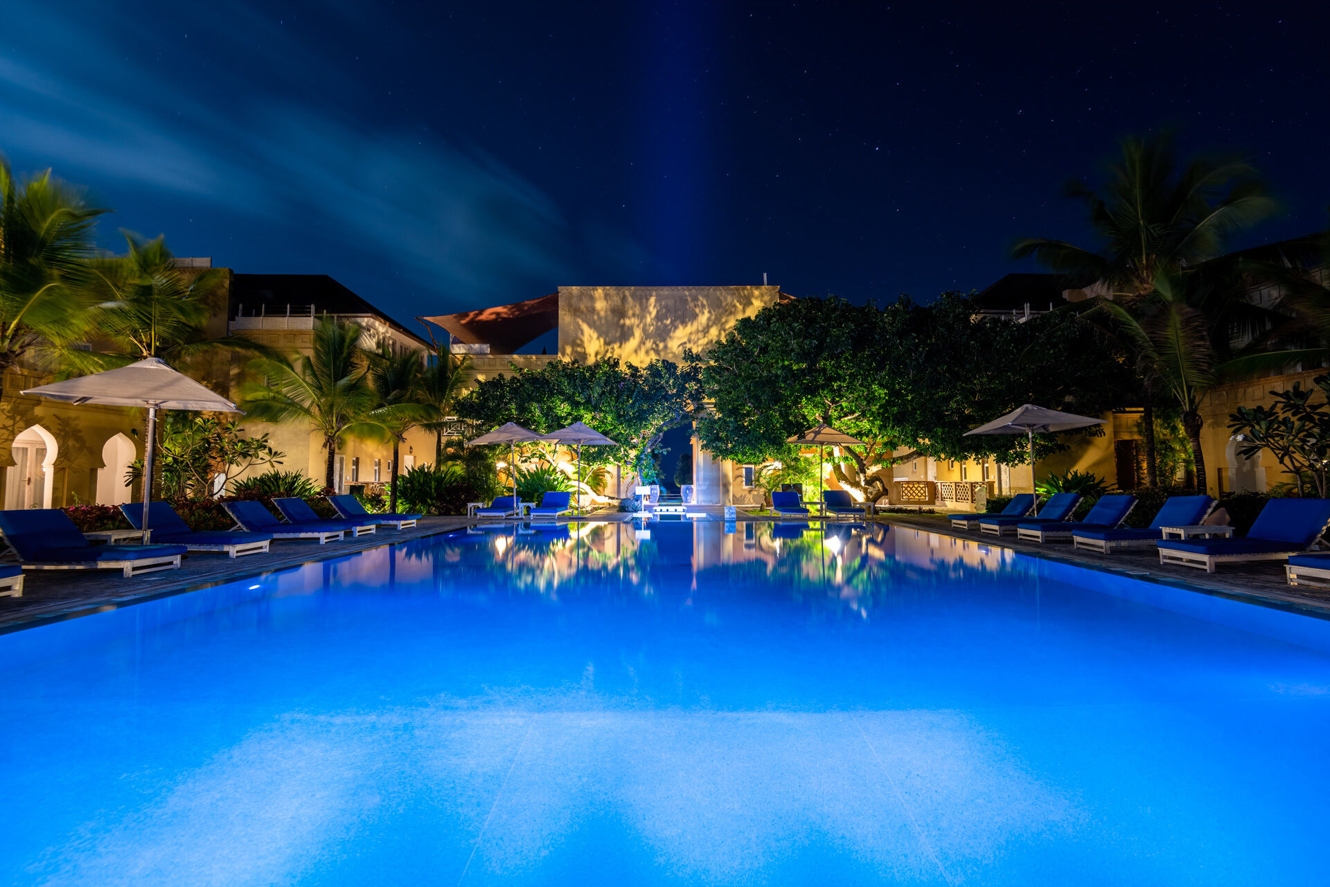 WEB GARDEN Medina Palms 0061 GMP32221920 72